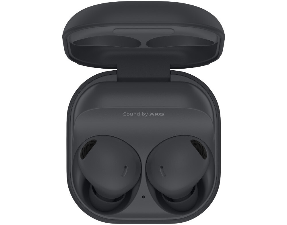 Samsung Galaxy Buds 2 Pro Graphite